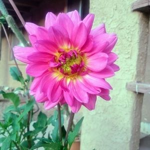 Meet your Posher, Riza